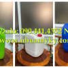 Gía can nhựa 30 lít tại TPHCM, can nhựa 25 lít đựng thuốc nhuộm, can nhựa 20L đựng mực in 