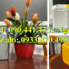 Can 500ml đựng mật ong, bình nhựa 1 lít đựng hóa chất, can nhựa 2 lít đựng thực phẩm 