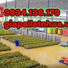 Rổ nhựa - sóng nhựa - cần xé nhựa giá tốt tại Bến Tre!
