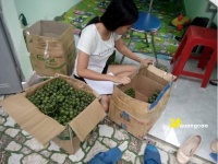 Bán nem chua Thanh Hóa tại Đà Nẵng