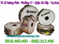 Cho thuê trống đội tại quận 5 tphcm 
