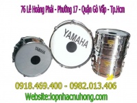 Cho thuê trống đội tại quận 5 tphcm 
