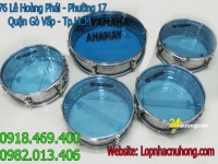 Cho thuê trống đội tại quận 5 tphcm 