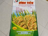 Sản xuất bao bì lúa giống, bao đựng 40kg lúa giống