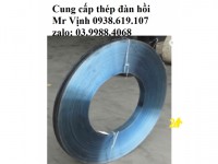 Bán thép lò xo ở đà nẵng