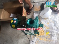 Cấu tạo máy nghiền đập vỡ hạt ngô làm 2-3 mảnh nhỏ