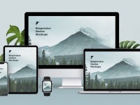 Dịch vụ thiết kế website đa lĩnh vực, giá tốt