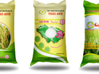 Sản xuất bao PP dệt đựng gạo 10kg 25kg 50kg