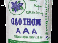 Sản xuất bao PP dệt đựng gạo 10kg 25kg 50kg