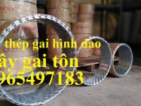 Dây Thép Gai Hình Dao, Dây Thép Gai Chống Trộm, Dây Kẽm Gai Lưỡi Dao, Dây Gai Tôn