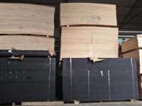 Ván ép Cốp pha phủ phim giá rẻ 240k tại Hoài Đức