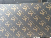 Ván Ép CỐp Pha Phủ Phim 240k - Hưng Yên Giá rẻ 