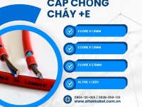Cáp chống cháy chống nhiễu 2c x 1.0mm/1.5mm/2.5mm + E