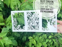 Thiêp cưới cắt laser sang trọng, cắt laser giấy làm thiệp 