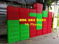 Sỉ sọt nhựa nhiều kích thước lớn nhỏ tại TPHCM