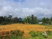 Bán đất MĂNG ĐEN  tỉnh KONTUM vị trí đẹp LỢI NHUẬN THU VỀ CAO