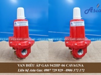 Van gas Cavagna Group 942HP-06 Italy