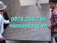GIÁ VÁN PHỦ PHIM, VÁN CỐP PHA MỚI NHẤT 2024