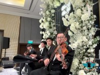 CUNG CẤP BAND HÒA TẤU BÁN CỔ ĐIỂN HÒA TẤU FLAMENCO