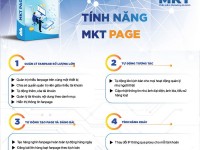 Phần Mềm Đăng 1000 Video Reels Facebook Tự Động