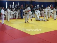 Thảm Tập Vật Juiitsu , Judo , Mma , Bjj