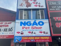 Sang nhượng cửa hàng Pet shop 3 tầng mặt tiền đẹp tại Hoài Đức