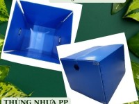 Thùng nhựa pp danpla 600x500x400(mm) 