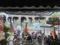 SANG NHƯỢNG NHANH QUÁN CAFE Tại 519, Đường Lê Thị Riêng, Phường Thới An, Quận 12, TP.HCM