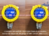 GAS DETECROR QM-5700D SUNGHWA