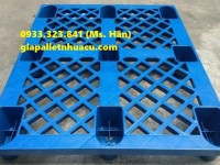 Đại lý cung cấp pallet nhựa giá rẻ tại Thủ Dầu Một 