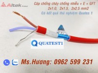 Cáp chống cháy chống nhiễu 2 Core có kết quả Quates 1