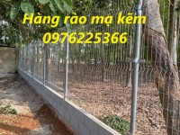 Báo giá hàng rào mạ kẽm D4