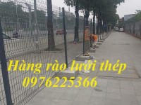 Hàng rào lưới thép Bền Đẹp, báo giá tại sỉ tại xưởng 