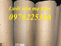 Lưới thép mạ kẽm nhúng nóng 10x10, 15x15, 20x20, 25x25