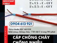 Cáp báo cháy chống cháy chống nhiễu 2x1.0/2x1.5/2x2.5 Đà Nẵng, Hà Nội, HCM 