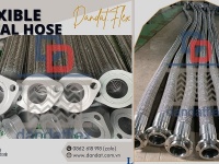 Khớp nối mềm inox 304 mặt bích ( chống rung inox ) Dandat.Flex Việt Nam 