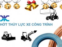 Phụ tùng động cơ xe đào, hộp số, sin phớt xe xúc lật