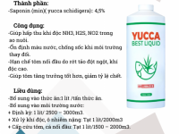 Yucca Best Liquid – Yucca hấp thu khí độc, sạch nước ao nuôi và cấp cứu tôm cá nổi đầu