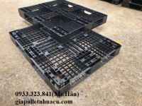 Đại lý cung cấp pallet nhựa tại Thủ Dầu Một uy tín