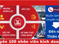 Bất Động Sản Thiên Khôi Tuyển Nhân Viên Kinh Doanh 