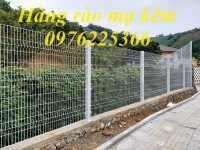 Hàng rào lưới thép mạ kẽm phi 5 ô 50x150