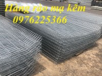 Hàng rào lưới thép mạ kẽm phi 5 ô 50x150