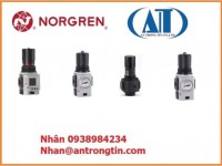 Bộ lọc khí nén Norgren F18-C00-A3DG: Bảo vệ hệ thống khí nén của bạn 