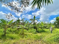 BÁN ĐẤT CHÍNH CHỦ - VIEW HỒ TRỊ AN- LA NGÀ- ĐỊNH QUÁN- ĐỒNG NAI