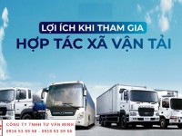 Thành lập hợp tác xã vận tải - Kế toán Minh Minh