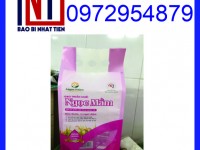 Túi PA/PE đựng gạo 2kg, túi gạo 2kg miễn phí thiết kế giá tốt