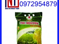 In túi gạo 5kg giá tốt, túi gạo 5kg PA/PE