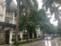 Bán gấp biệt thự khu D Ciputra 276m2  nhà căn góc