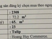 Bán 2 Căn Chung Cư Chính Chủ Tại Hoang Huy Commerce Đường Võ Nguyên Giáp quận Lê Chân.