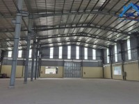 Xưởng cho thuê cao thoáng, 1300m2 và 1500m2, giá 60k/m2, tiện làm kho chứa hàng hóa